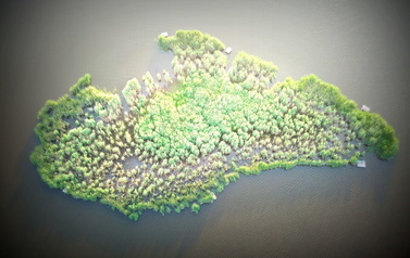 Pniewska wyspa