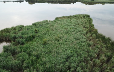 DJI_0021