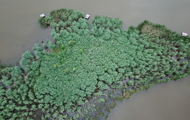 DJI_0018