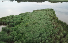 DJI_0021