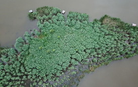 DJI_0018